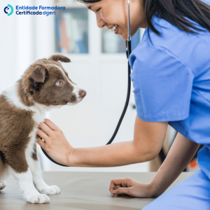 Atendimento de excelência na clínica veterinária