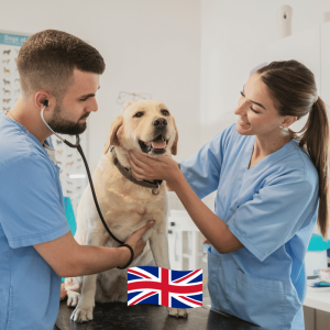 Inglês para Veterinários | Intermédio - 30h