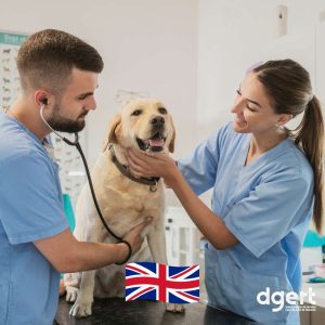 curso-inglês-para-veterinários-intermédio-30H-eleva